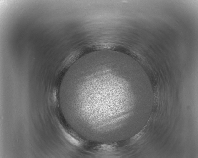 X0000060790166200511141453