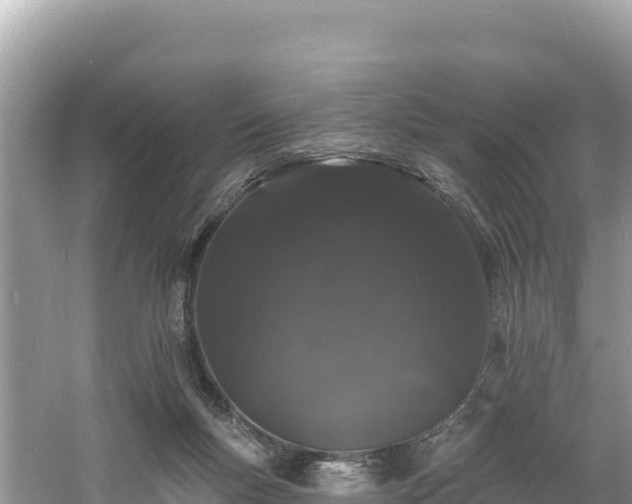 X0000060790167200511141453