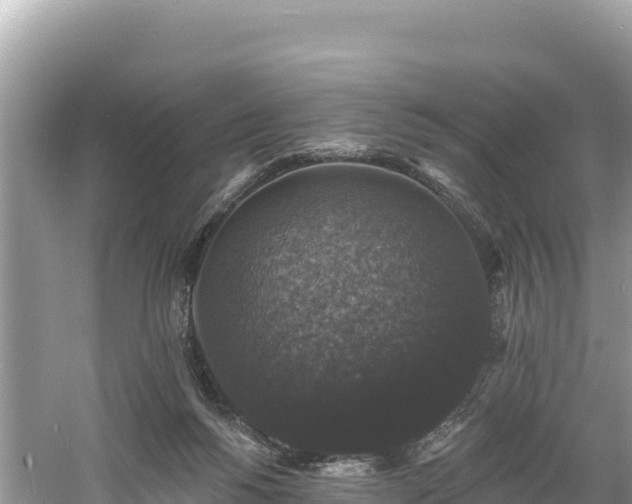 X0000060790168200511141453