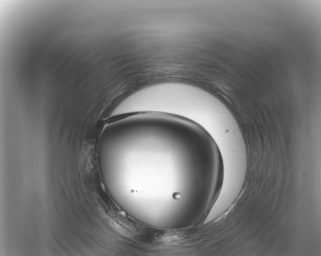 X0000060790171200511141453