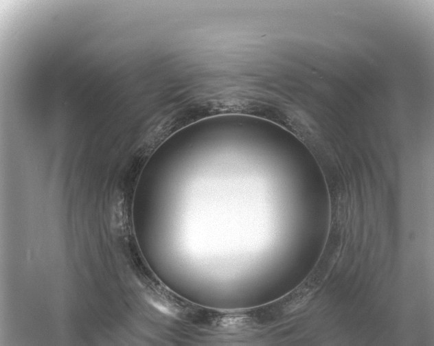 X0000060790173200511141453