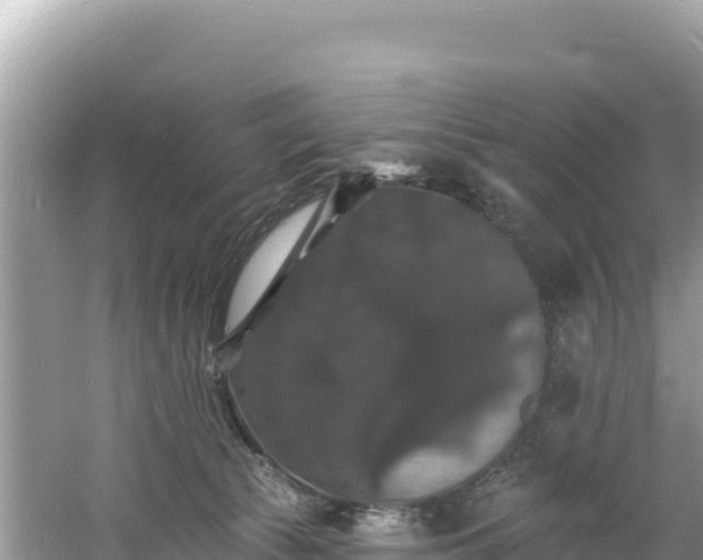 X0000060790177200511141453