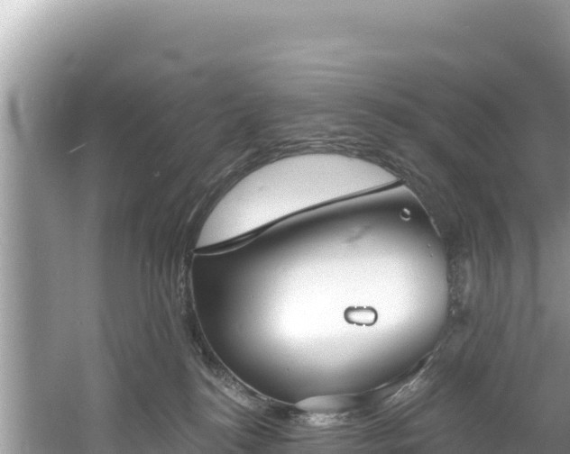 X0000060790184200511141453