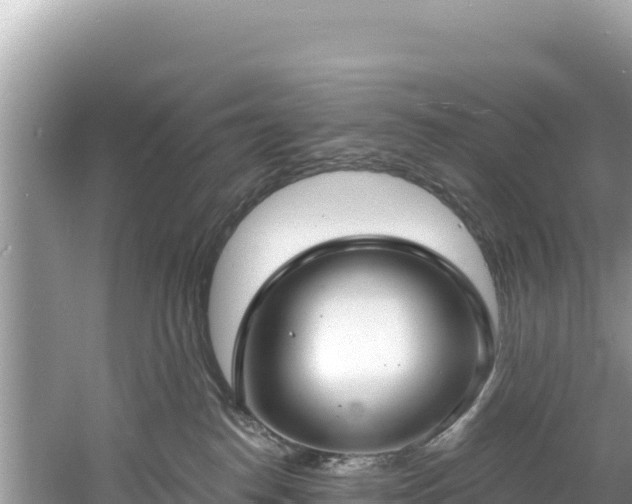 X0000060790186200511141453