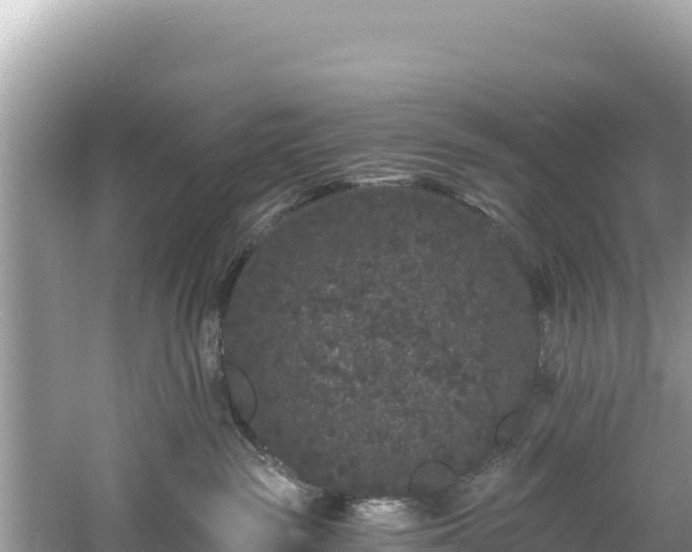 X0000060790189200511141453