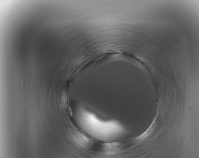 X0000060790192200511141453