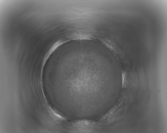 X0000060790195200511141452