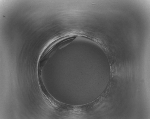 X0000060790196200511141452