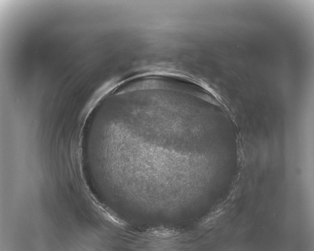 X0000060790199200511141452