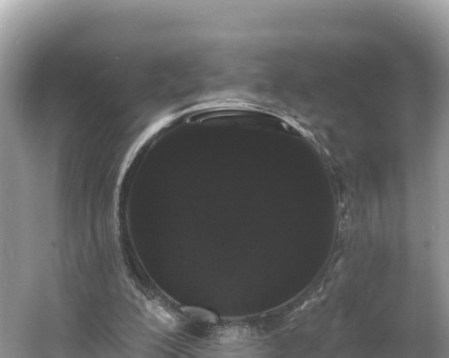 X0000060790200200511141452