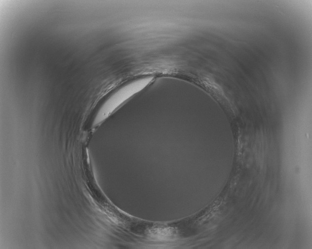 X0000060790202200511141452