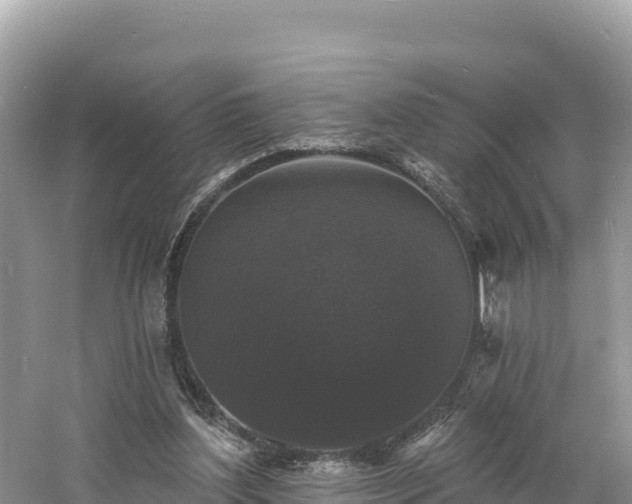 X0000060790204200511141452