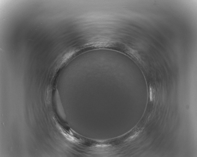 X0000060790205200511141452