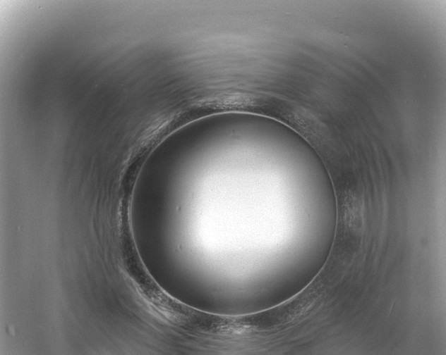 X0000060790206200511141452