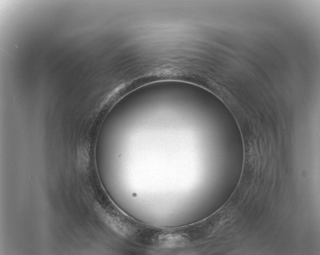 X0000060790208200511141452