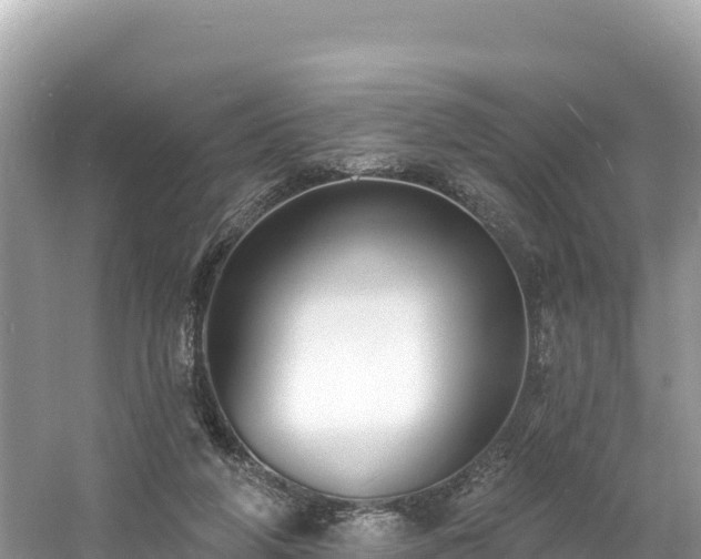 X0000060790210200511141452