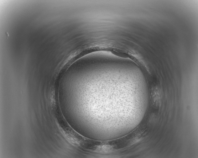 X0000060790212200511141452