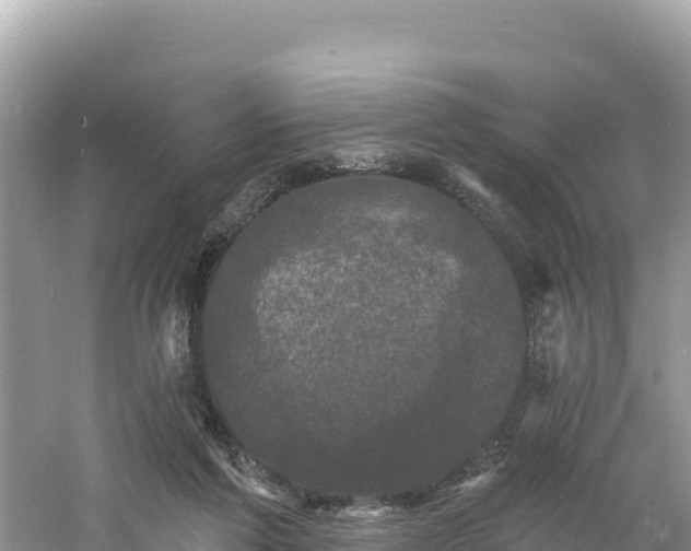 X0000060790213200511141452