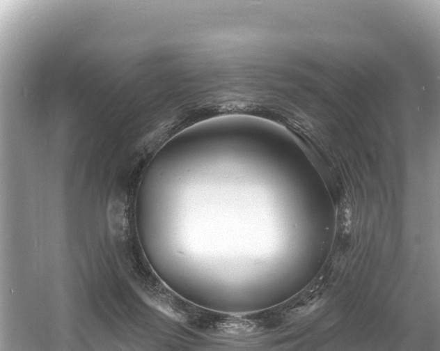 X0000060790215200511141452