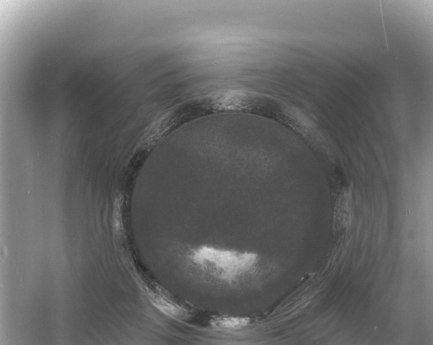 X0000060790217200511141452