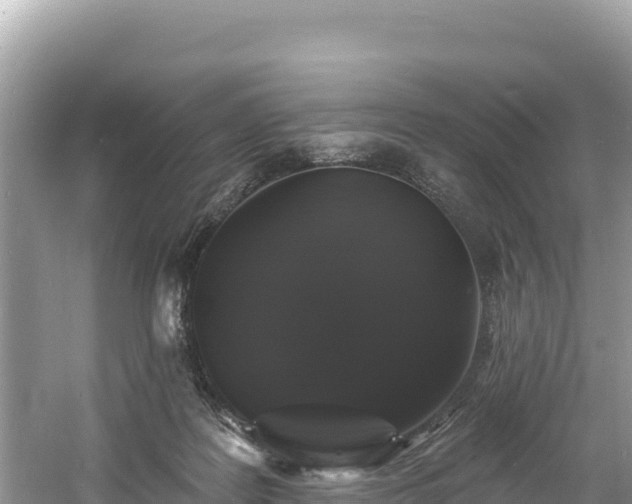 X0000060790219200511141452