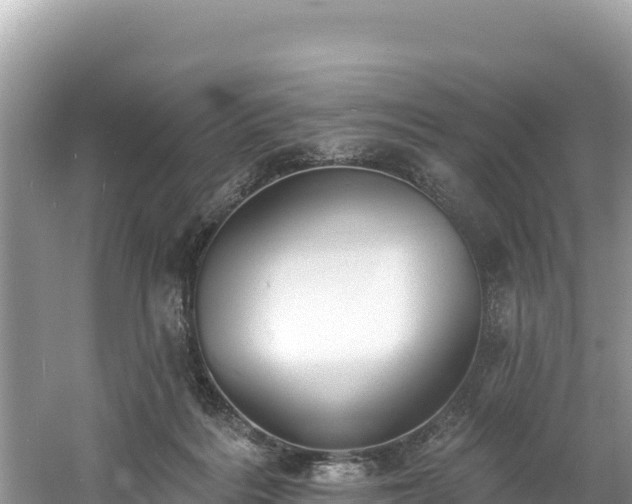 X0000060790220200511141452