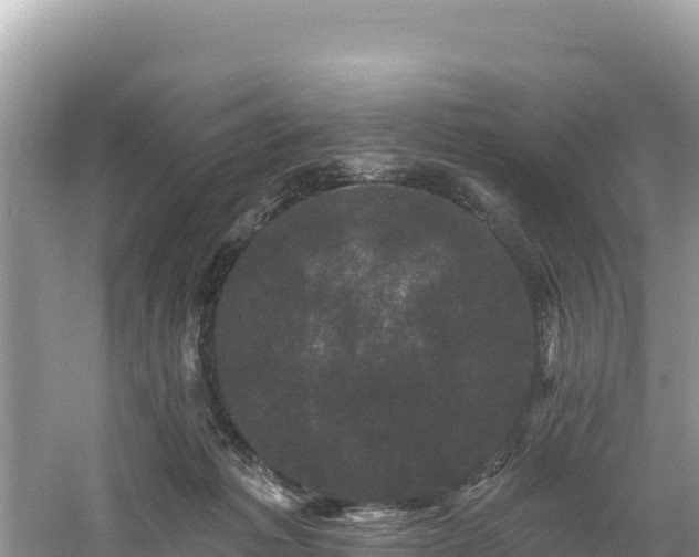 X0000060790221200511141452