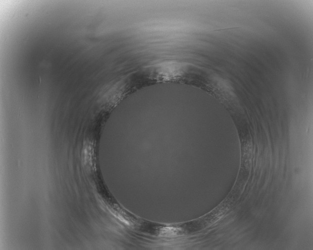 X0000060790222200511141452