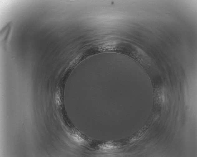 X0000060790224200511141452