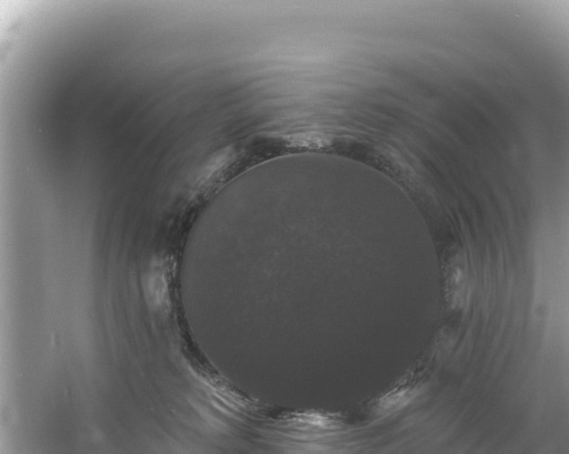 X0000060790229200511141452