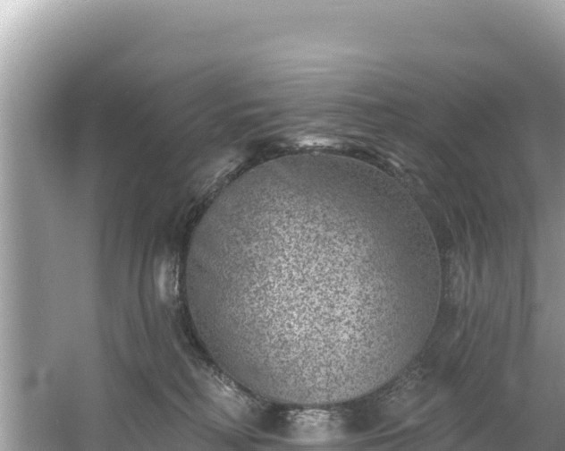 X0000060790230200511141452