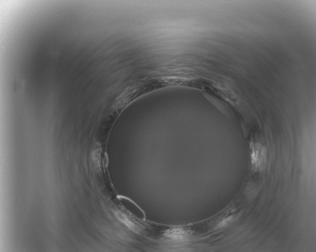 X0000060790231200511141452