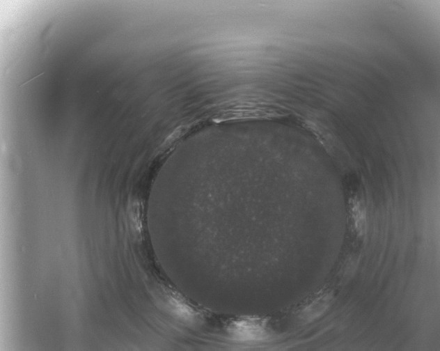 X0000060790232200511141452