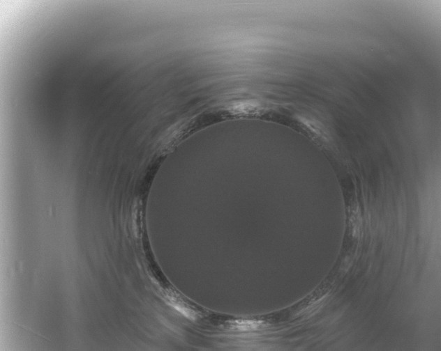 X0000060790233200511141452