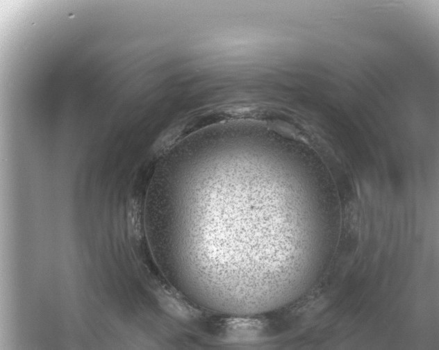 X0000060790234200511141452