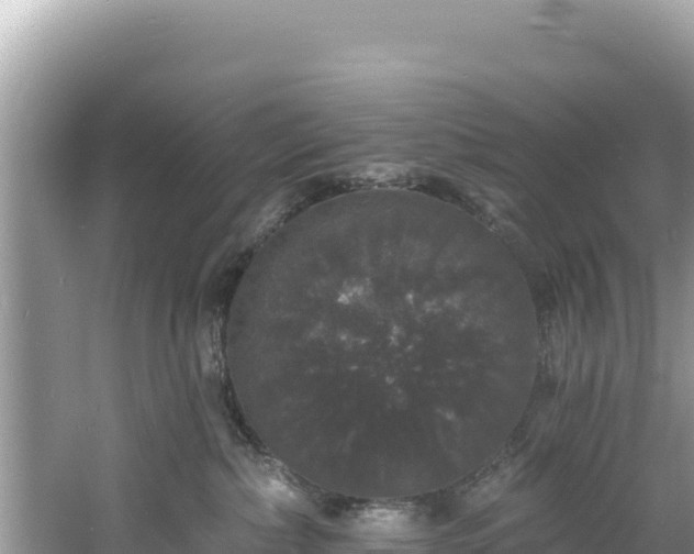 X0000060790236200511141452