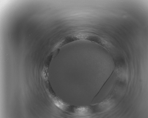 X0000060790237200511141452