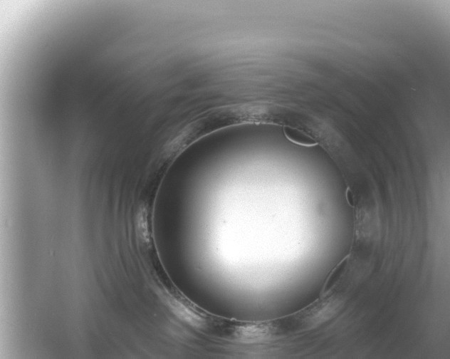 X0000060790238200511141452