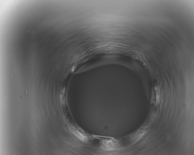 X0000060790239200511141452