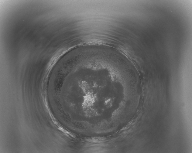 X0000060790241200511141451