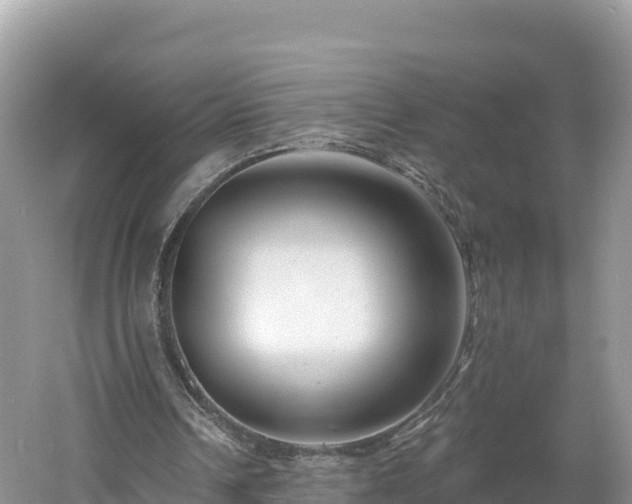 X0000060790242200511141451