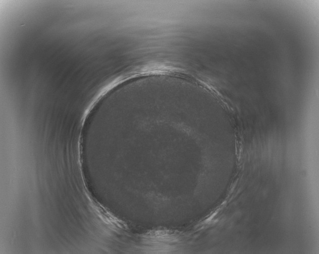 X0000060790244200511141451