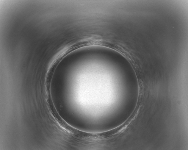 X0000060790245200511141451