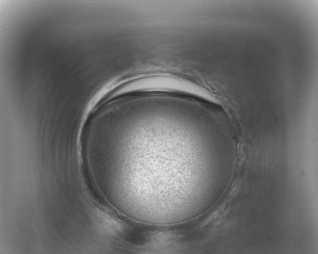 X0000060790246200511141451