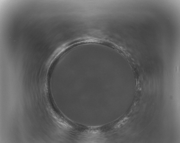 X0000060790247200511141451