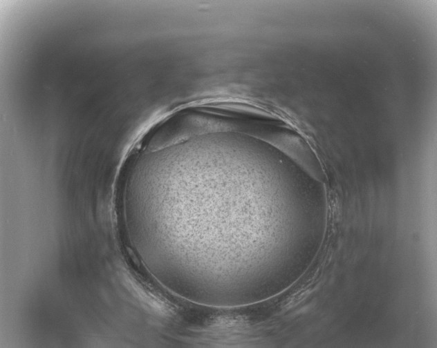 X0000060790248200511141451