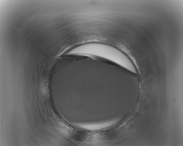 X0000060790249200511141451