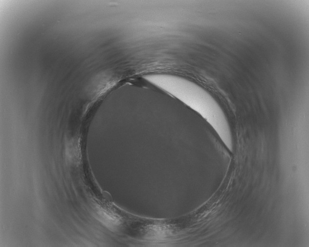 X0000060790250200511141451