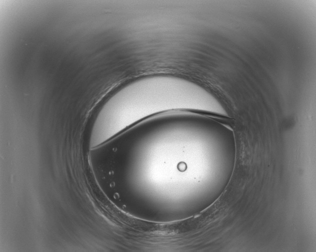 X0000060790251200511141451