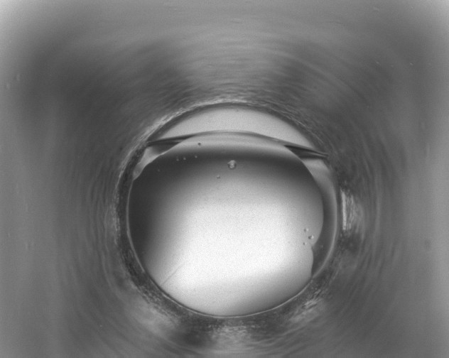 X0000060790252200511141451